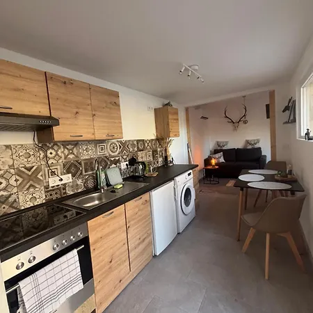 Apartment Tiny House Am Goldbach *