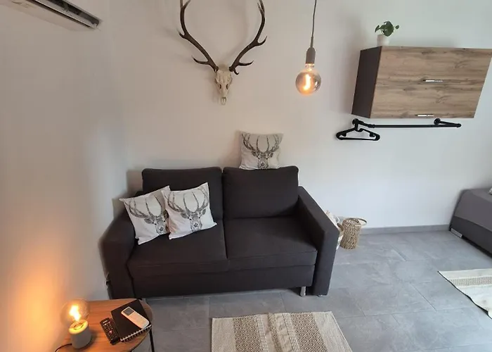 Tiny House Am Goldbach Apartment *