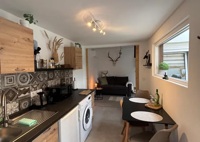 Apartman Tiny House Am Goldbach Halberstadt